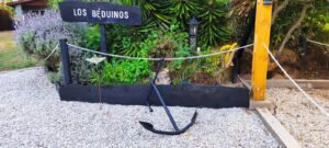 WhatsApp Image 2025-01-14 at 09.38.04 (1)