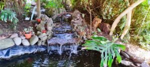 WhatsApp Image 2025-01-14 at 09.38.10 (1)