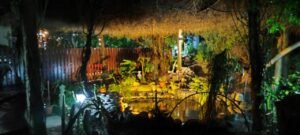 WhatsApp Image 2025-01-14 at 09.38.11 (1)