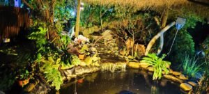 WhatsApp Image 2025-01-14 at 09.38.12