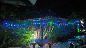 WhatsApp Image 2025-01-14 at 09.39.17