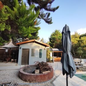 WhatsApp Image 2025-01-16 at 13.02.22