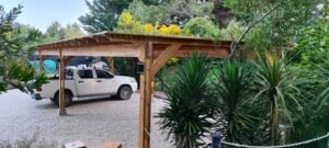 WhatsApp Image 2025-01-18 at 12.31.34