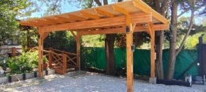 WhatsApp Image 2025-01-18 at 12.31.35